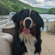 TylerB - steam id 76561198074279443