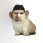 RESHALA