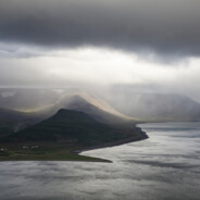 中门何晨光专打头