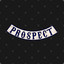 ProspecT