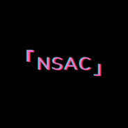 叙利亚一连连长