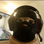 Krzanik