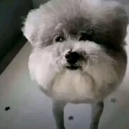 Stevan.minecraft2010