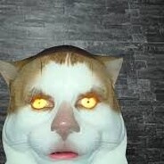 AAAAAAAAAAAAAAAAAAAAAAAAAA