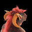 Xavarius