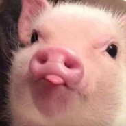 Sweet Fire Dragonling