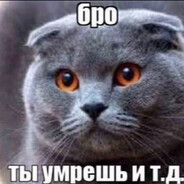 tim1kkk - steam id 76561199544830987