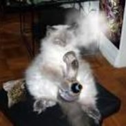 smokey_mcpuf