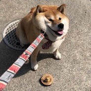 Timm - steam id 76561198826421250