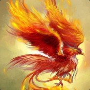 金乌最腻害！~！