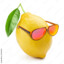 Lemon_slice