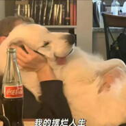 比奇堡狙击手海绵宝宝