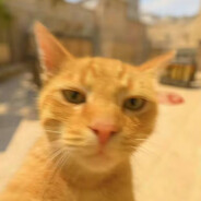 花园宝宝叮叮车