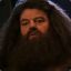 Hagrid