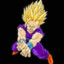DicNavis