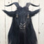 XARIS (THE GOAT)