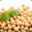 SoyBean