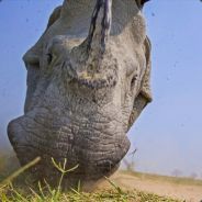 全城为我花光狠劲