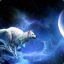 Asticor