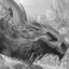 Balerion