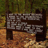 Try my reins and my heart