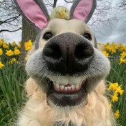 我愿能以后捉紧妳的手