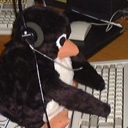 LyLFox - steam id 76561197961412155