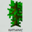 NKurgan21