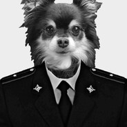ThugShakin avatar