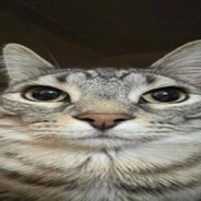_STR0F1_➲ skoro vac