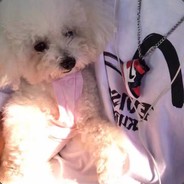 你看我还有机会吗