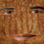 Obama grilled cheese