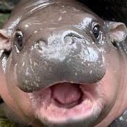 ไข่เยี่ยวม