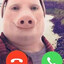 John Pork