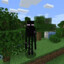 Enderman