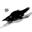 Just Raven