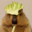 Hachikō