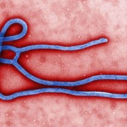 Ebola