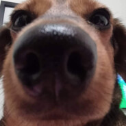 Martin-Triangle-Czech