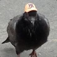 LOok At Me I'm A BirD