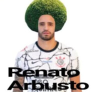 Reinato Arbusto