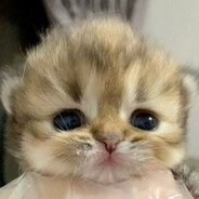 pik's Avatar