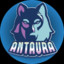 Antaura