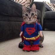 skrip)) - steam id 76561199839069991