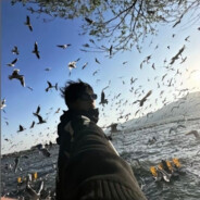 一言不合就开润