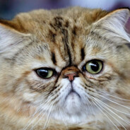 󠁳⁧⁧ Uncreative Name♥