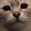 Владюш's avatar