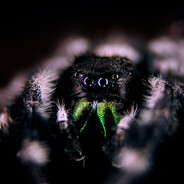 Chirik - steam id 76561199157717790