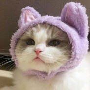 𝓑𝓪𝓻𝓽𝓸𝓰𝓾𝓷