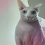 2к16